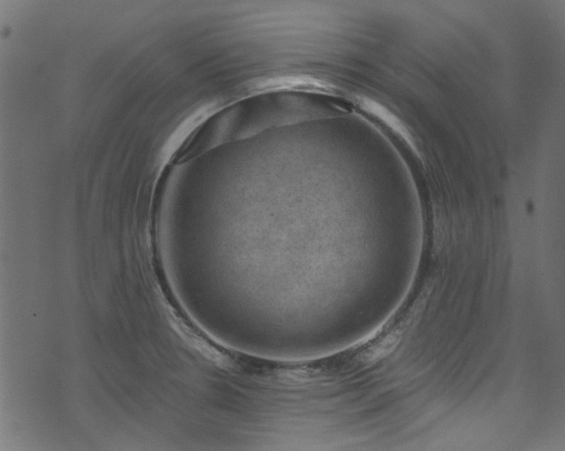 X0000074041330200608281435