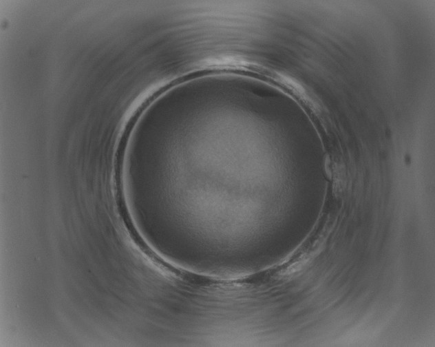 X0000074041331200608281435