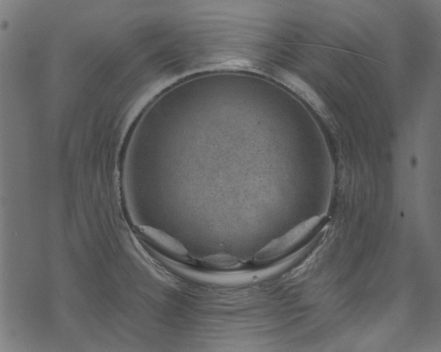 X0000074041332200608281435