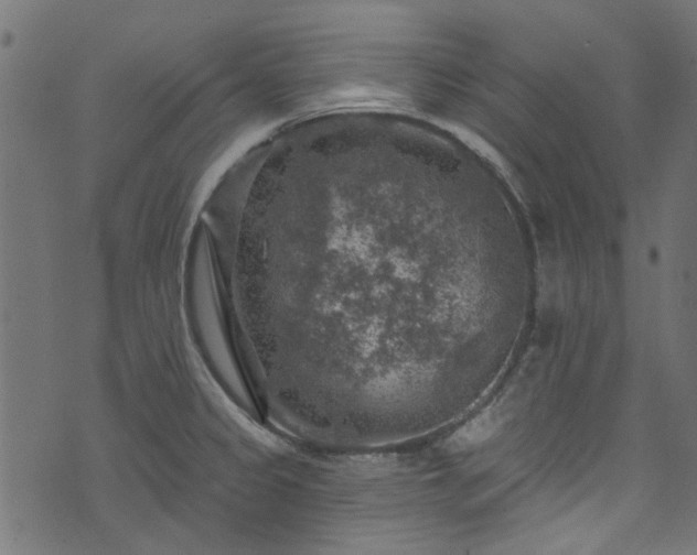 X0000074041333200608281435