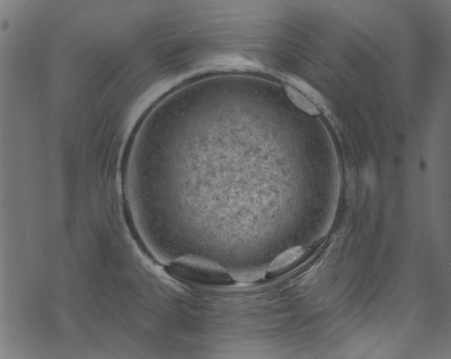 X0000074041335200608281435