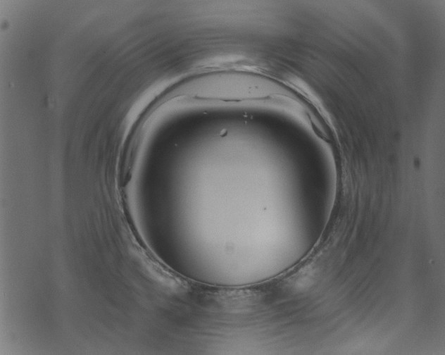 X0000074041336200608281435