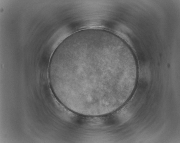 X0000074041338200608281435