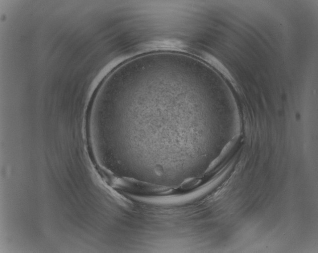 X0000074041339200608281435