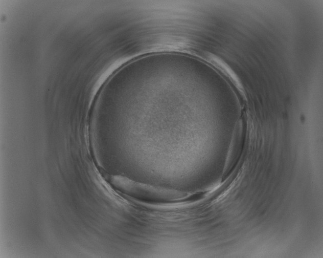 X0000074041340200608281435