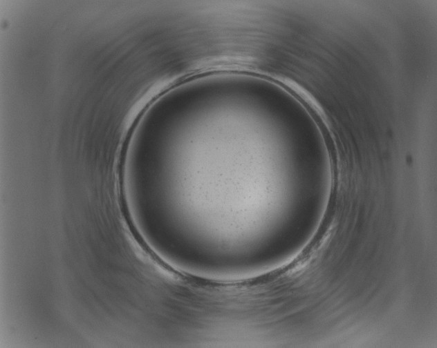 X0000074041341200608281435