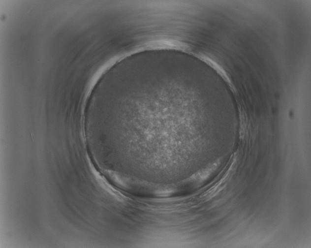 X0000074041342200608281435