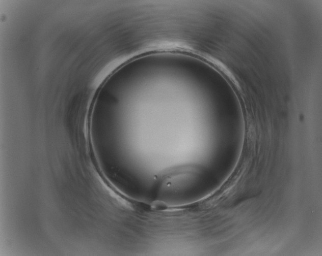 X0000074041343200608281435