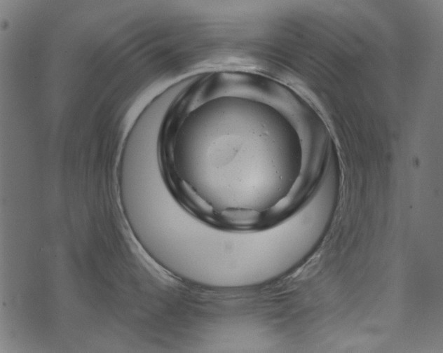 X0000074041344200608281435