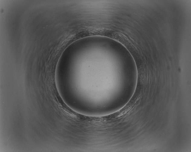 X0000074041345200608281434