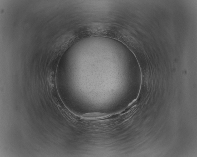 X0000074041346200608281434