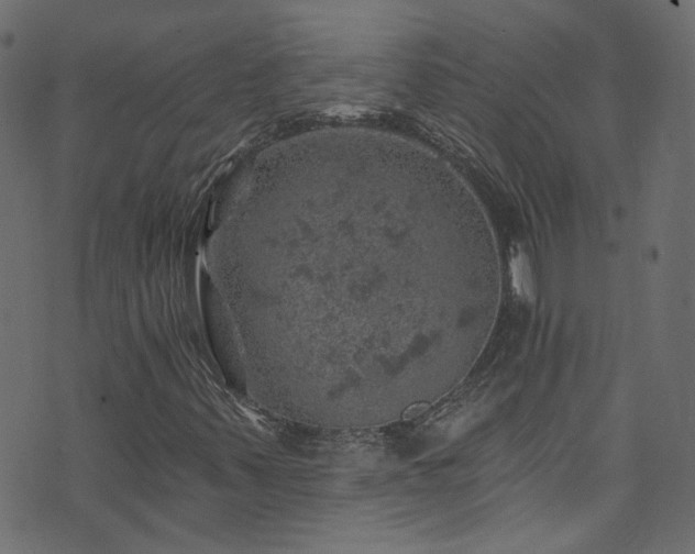 X0000074041347200608281434