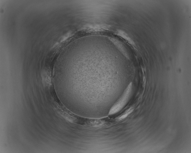 X0000074041348200608281434