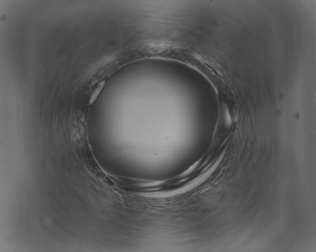 X0000074041349200608281434