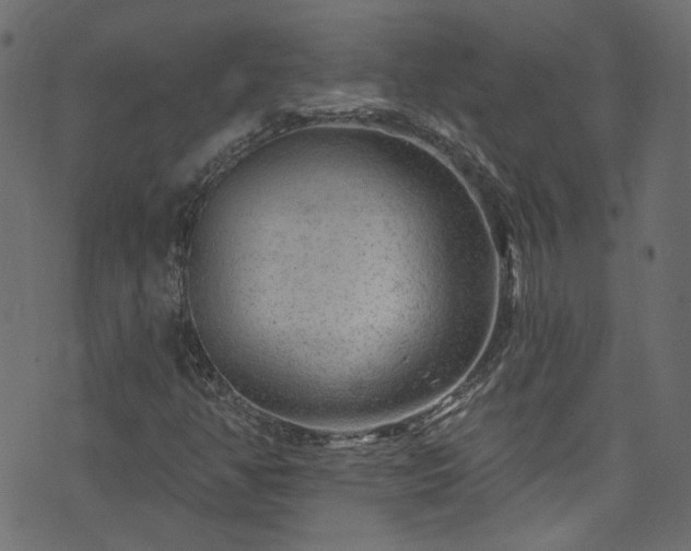 X0000074041350200608281434