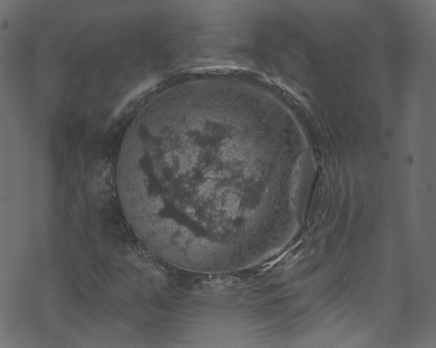 X0000074041351200608281434