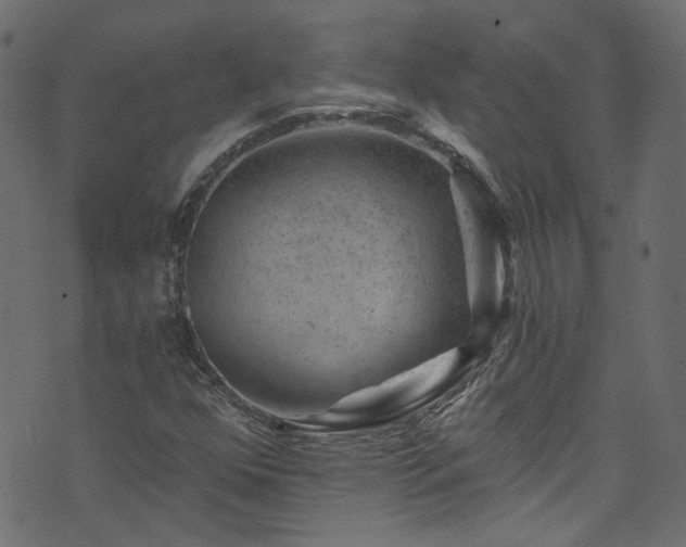 X0000074041352200608281434