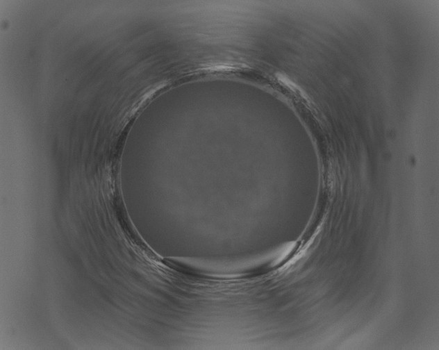 X0000074041353200608281434