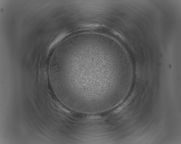 X0000074041354200608281434