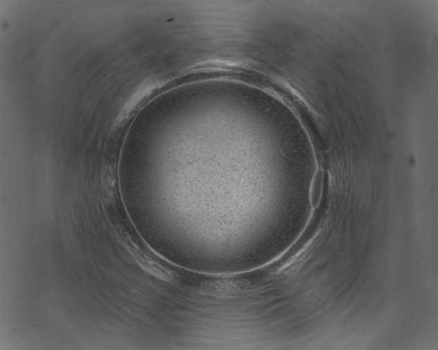 X0000074041355200608281434