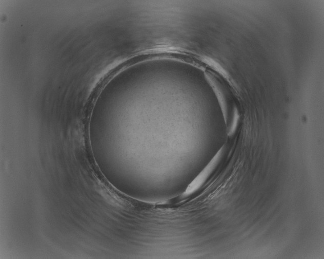 X0000074041356200608281434