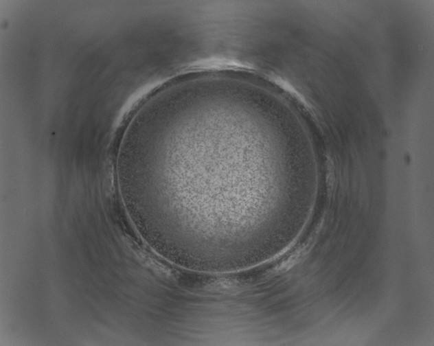 X0000074041358200608281434