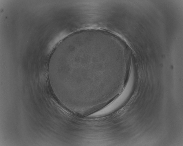 X0000074041359200608281434