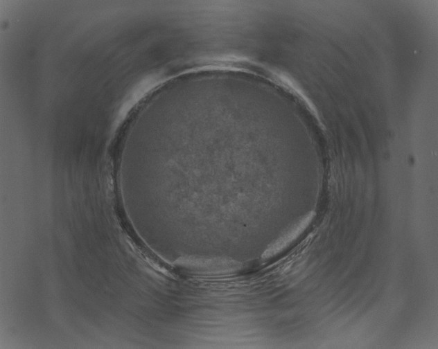 X0000074041360200608281434