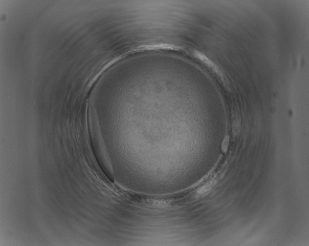 X0000074041361200608281434