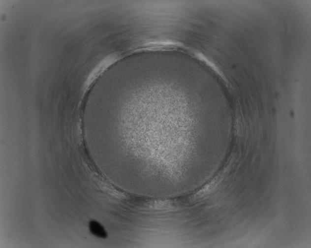 X0000074041362200608281434