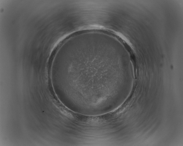 X0000074041364200608281434