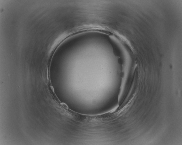 X0000074041365200608281434