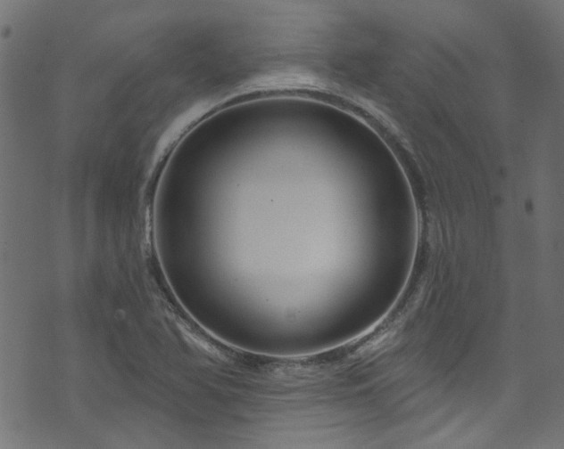 X0000074041366200608281434