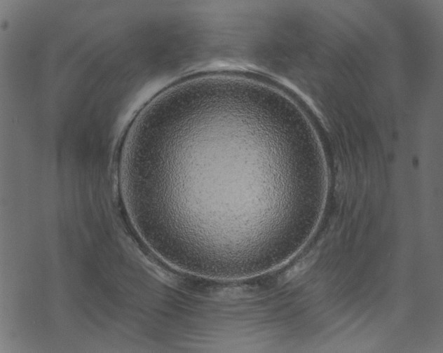 X0000074041367200608281434