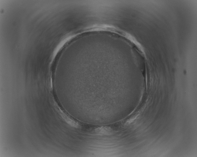 X0000074041368200608281434