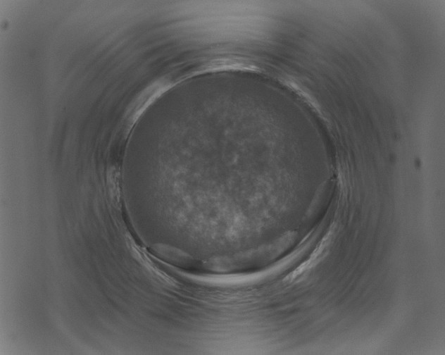 X0000074041369200608281434