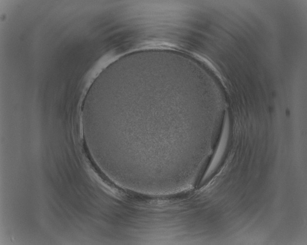 X0000074041371200608281434