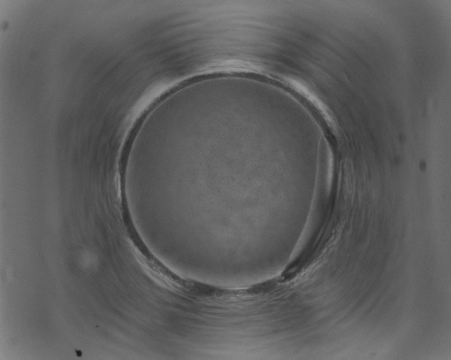 X0000074041372200608281434