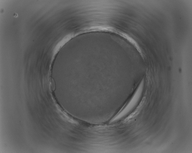 X0000074041373200608281434