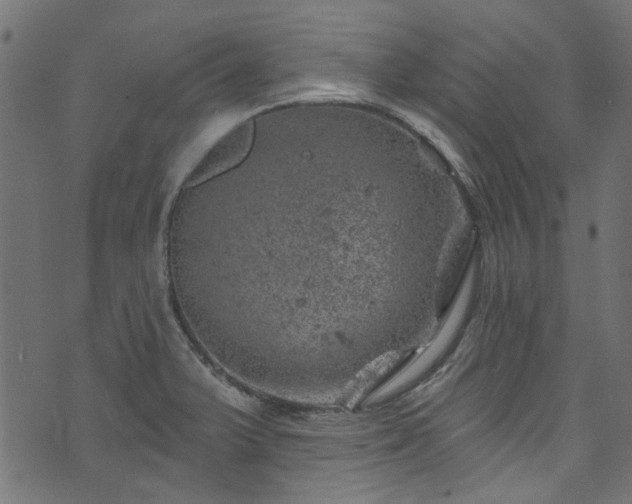 X0000074041375200608281434