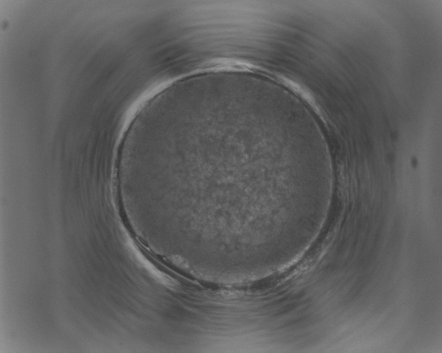 X0000074041379200608281434