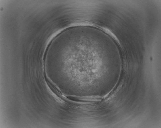 X0000074041380200608281434