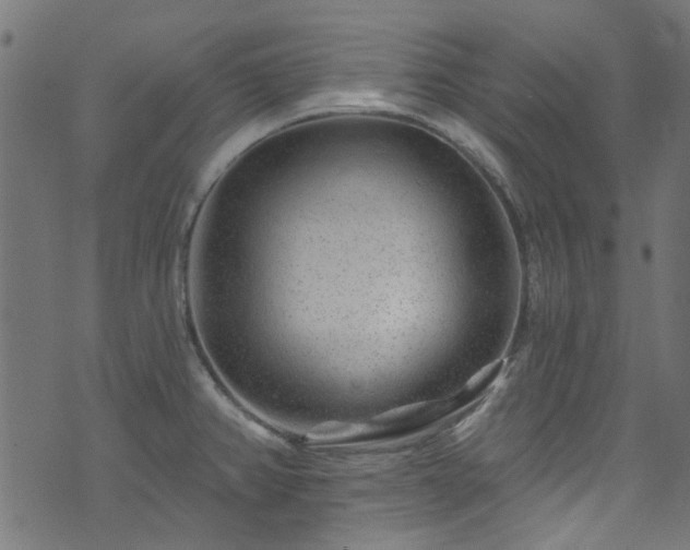 X0000074041382200608281434