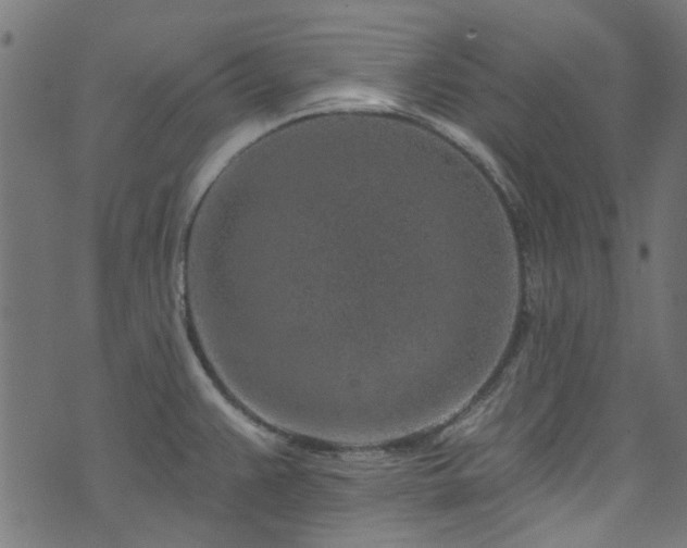 X0000074041383200608281434