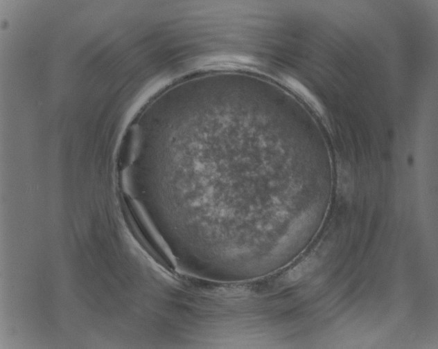 X0000074041384200608281434