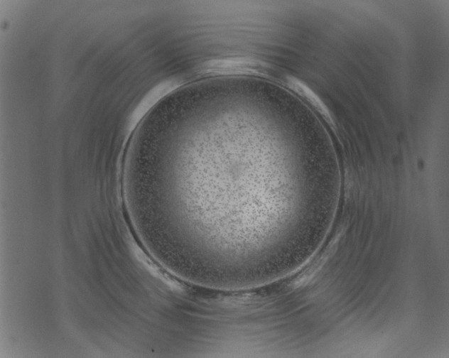 X0000074041386200608281434