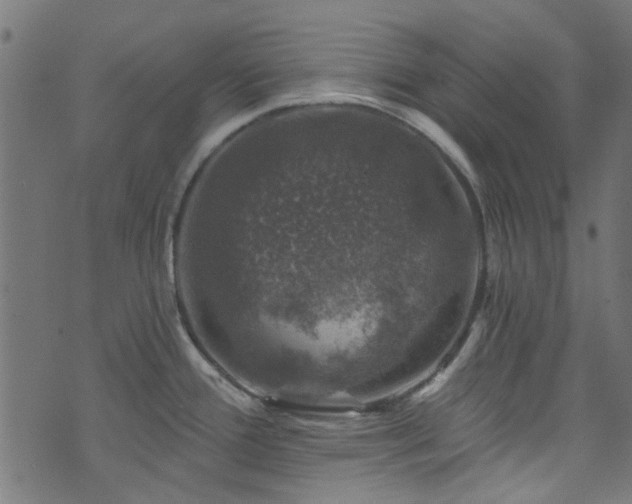 X0000074041388200608281434