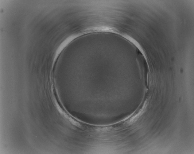 X0000074041389200608281434