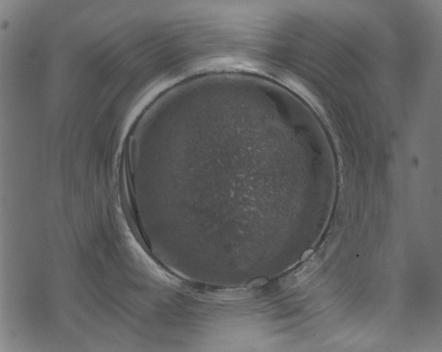 X0000074041392200608281434