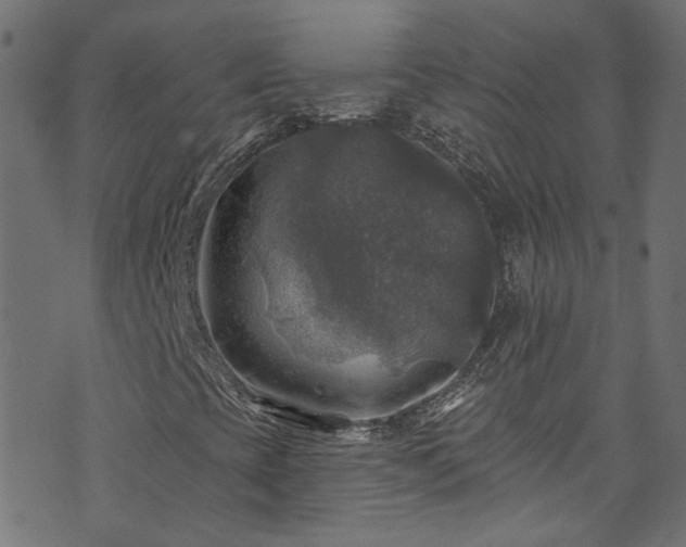 X0000074041393200608281433